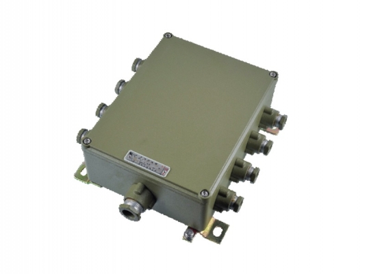 2021 China New Design Explosion Proof Products - eJX series Explosion proof connection box – Feice detail pictures